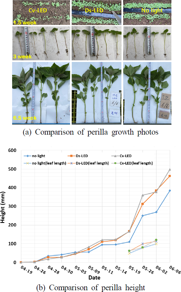 Fig. 12