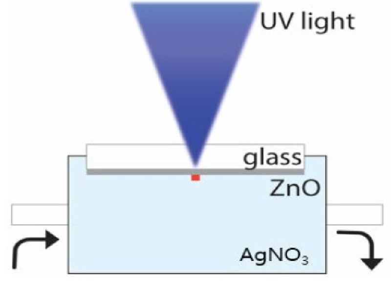 Fig. 1