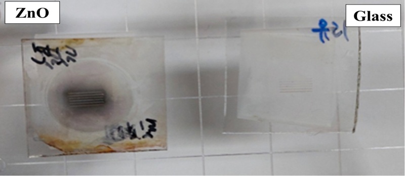 Fig. 7