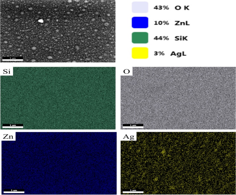 Fig. 9