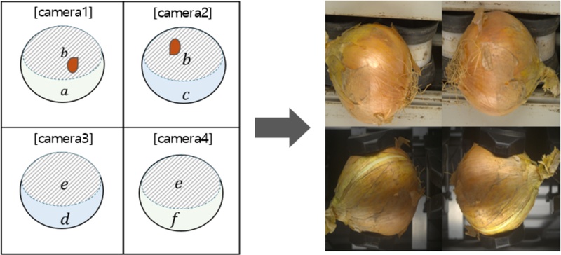Fig. 5