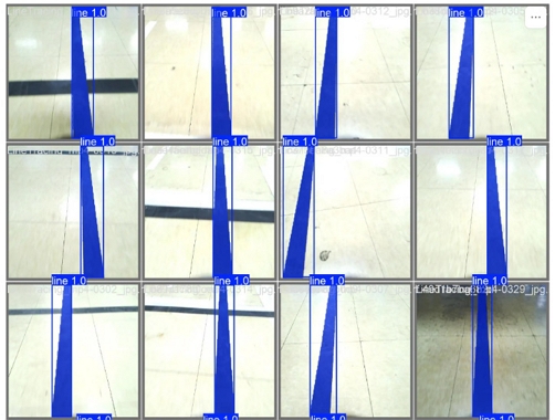 Fig. 10