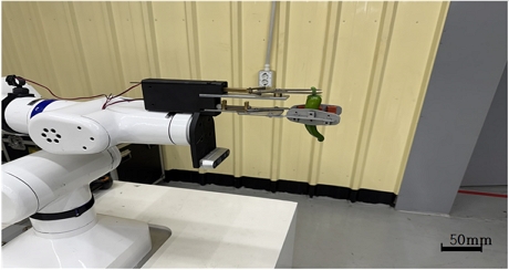 Fig. 14