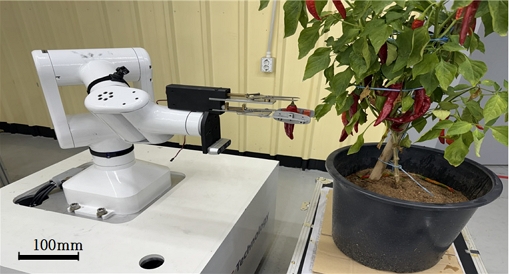 Fig. 17