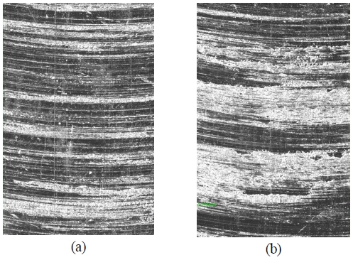 Fig. 13