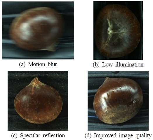 Fig. 4 Fig. 4