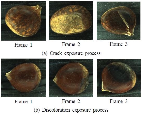 Fig. 5 Fig. 5