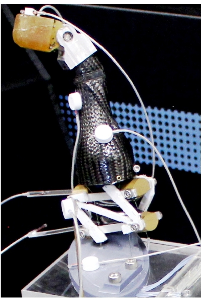 Fig. 1