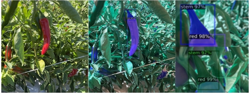 Fig. 16