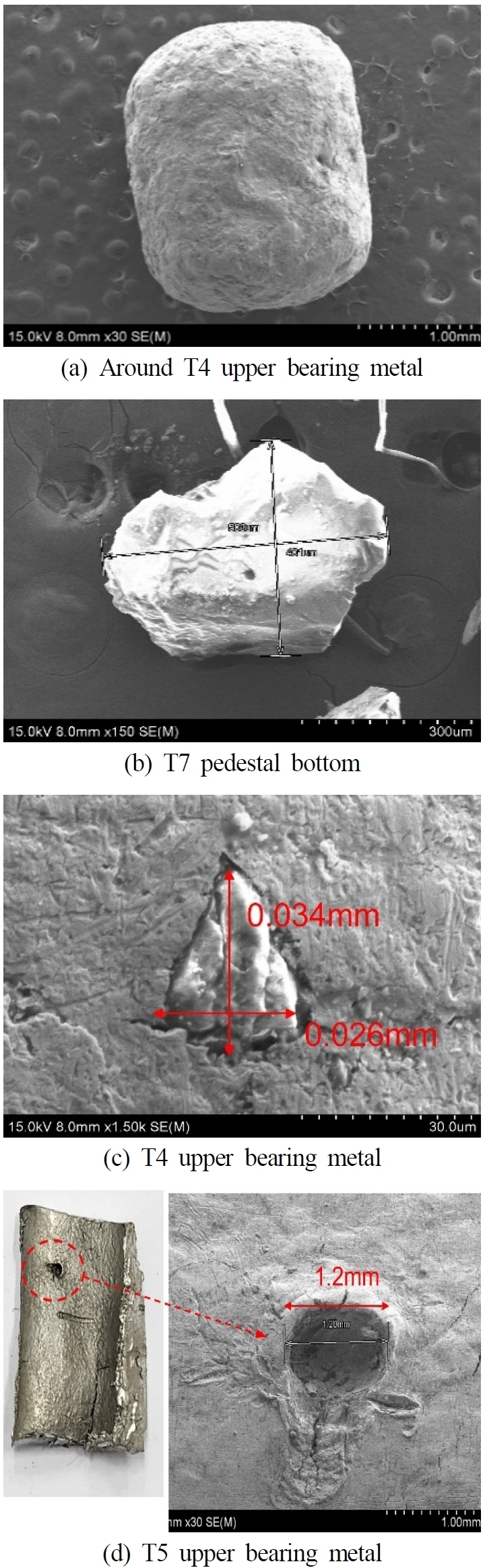 Fig. 10